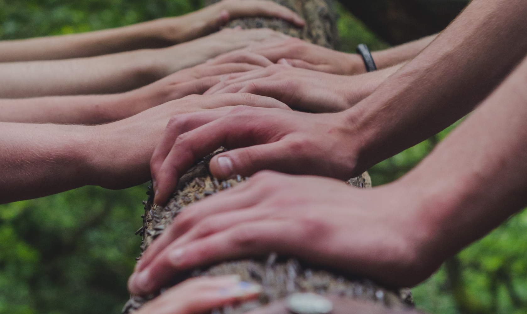 A group of people holding hands on top of a tree